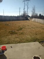 20190318_100655.jpg