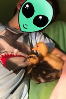 B367F329-BC39-4DEE-9955-EE2917C33B26.jpeg