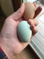 A94B8377-6DC0-4D52-A310-4FF58D9D738C.jpeg