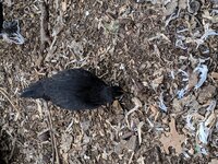 IMG_20190318_174329.jpg