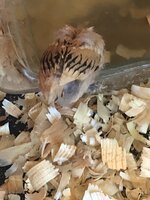 45D45614-86D9-4CA3-9DAE-FECA63AE2AD7.jpeg