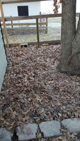 20190320_185616.jpg