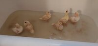 bath1.jpg bath1.jpg
