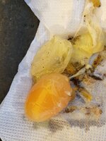 20190321_170514.jpg