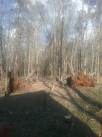 20190322_171951.jpg