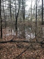 150208B0-141E-46C8-86B7-8E8D8742176C.jpeg