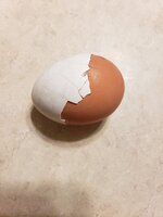 20190322_095423.jpg