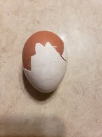 20190322_095436.jpg