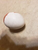 20190322_095455.jpg
