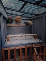 brooder-integration6-18.jpg