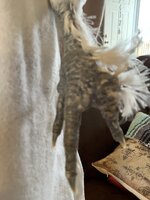 AE4ABD56-971D-4CFA-9241-584F98B939E8.jpeg