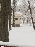 Bunkie.jpg