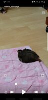 Screenshot_20190326-142327_Video Player.jpg
