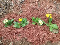 20190326_130229.jpg