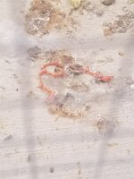 20190327_082916.jpg