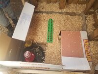 20190327_091419.jpg
