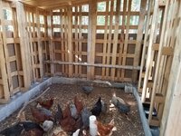 20170904_155732.jpg