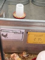 IMG_20190327_100642871.jpg