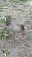 20190329_133505.jpg
