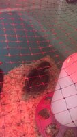 007987C3-B91D-49F9-9445-A07F8FC0ECCE.jpeg