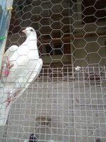 IMG_20190330_134347.jpg