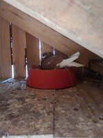 IMG_20190330_134842.jpg