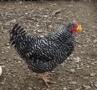 20181223_201013.jpg