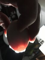 252199E0-8466-4E4F-A279-B7C2801C4E8E.jpeg