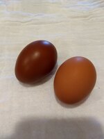 IMG_20190330_160032699.jpg
