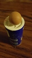 20190330_222631.jpg
