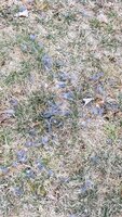20190331_103554.jpg