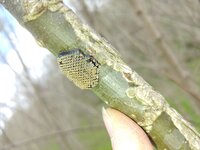 20190331_135518.jpg