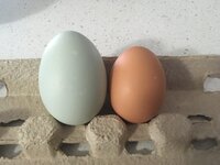 IMG_3884.JPG