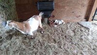 IMG_20190402_085606004.jpg