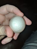 IMG_20190402_191645.jpg