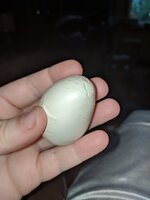 IMG_20190402_191546.jpg