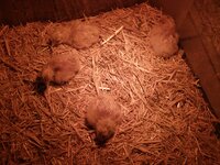 20190403_052830.jpg