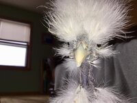 E77572E6-0E46-4B78-B967-CCDC31FFD5E7.jpeg