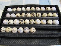 Quail eggs set.jpg