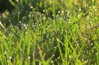 IMG_6594.jpg