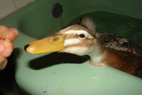 DSC03731.JPG