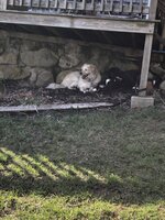 B9B38C15-5815-452D-964F-C9658277B19A.jpeg