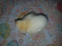 20190405_215203.jpg
