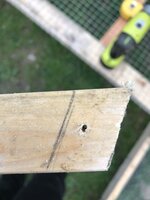 DF8D4E6A-C2B4-4191-8D10-1819ECB7F8FD.jpeg