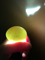 8585D8E1-1584-4269-ABC3-5BEB15FAACB6.jpeg