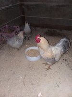 20190404_131423.jpg