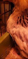 20190407_170449.jpg