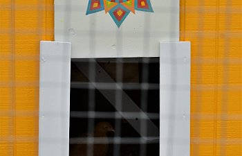DSC_1283.jpg