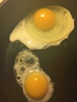 Eggs 3.JPG