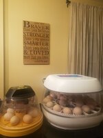 20190409_220822.jpg